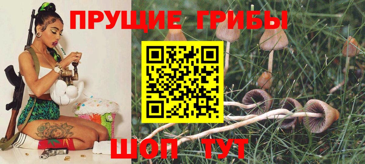 Вольск  Псилоцибиновые грибы Magic Shrooms  Вход с VPN 